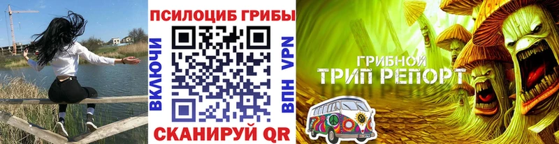 Купить где Ленинск Псилоцибиновые грибы MAGIC MUSHROOMS